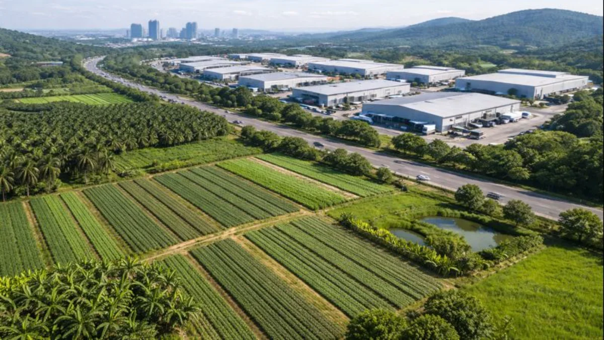 Agricultural & Industrial Land: Does Currency Strength Change Land Investment Strategy?