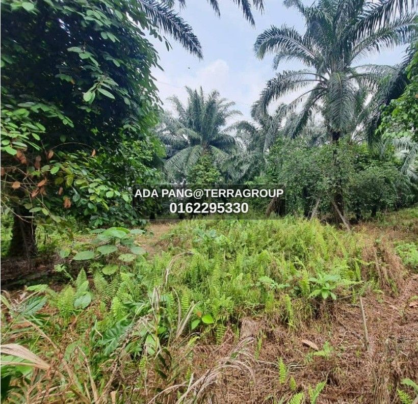Kampung Jawa Mix Development Land 2 ac image 2
