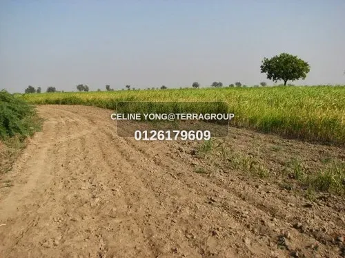 Banting 2 ACRES Heavy Industrial Land