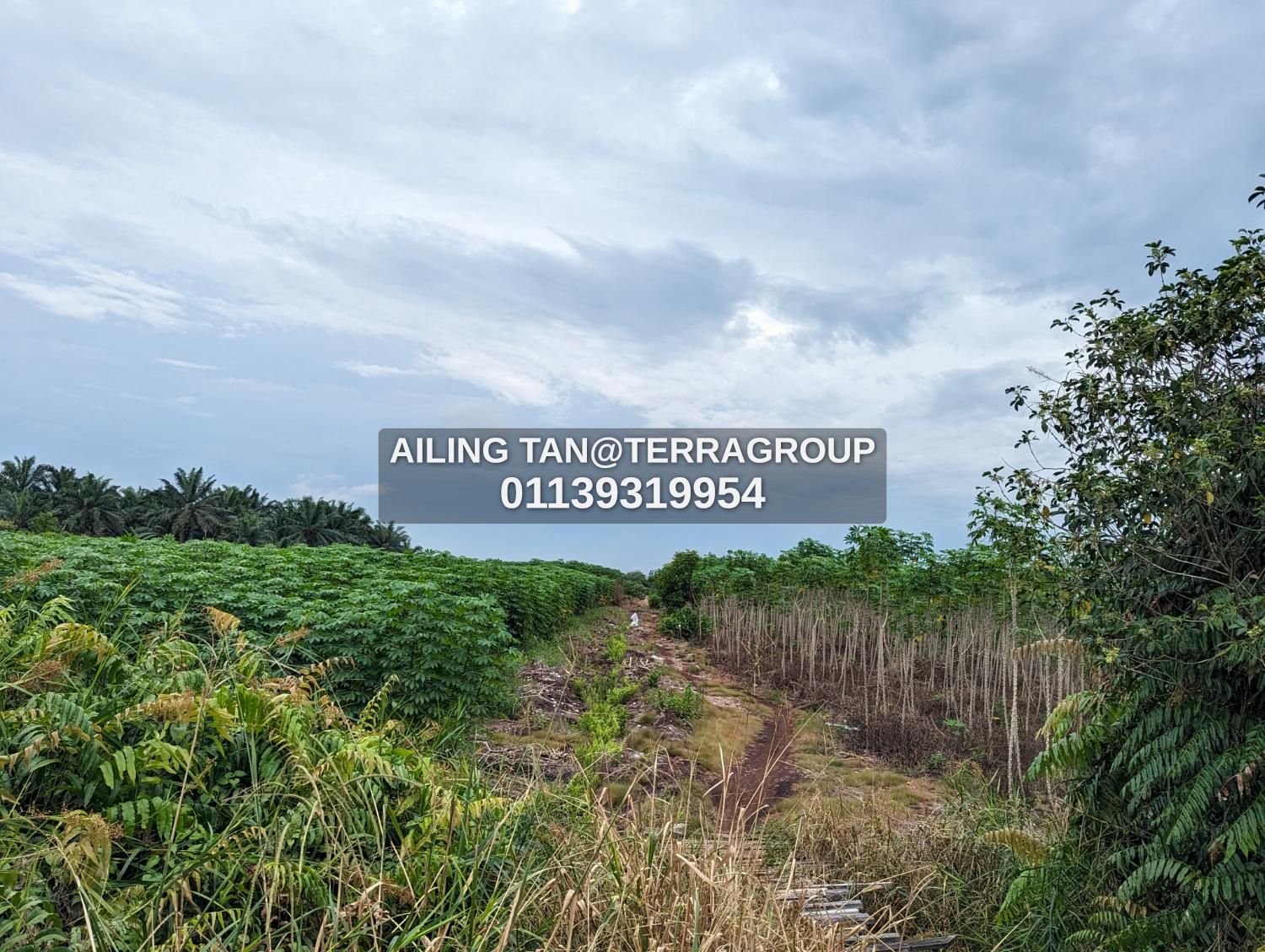 Johan Setia, Klang image 2