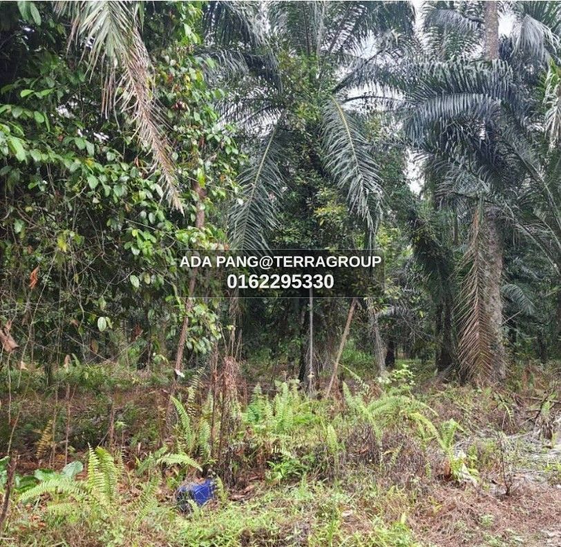 Kampung Jawa Mix Development Land 2 ac