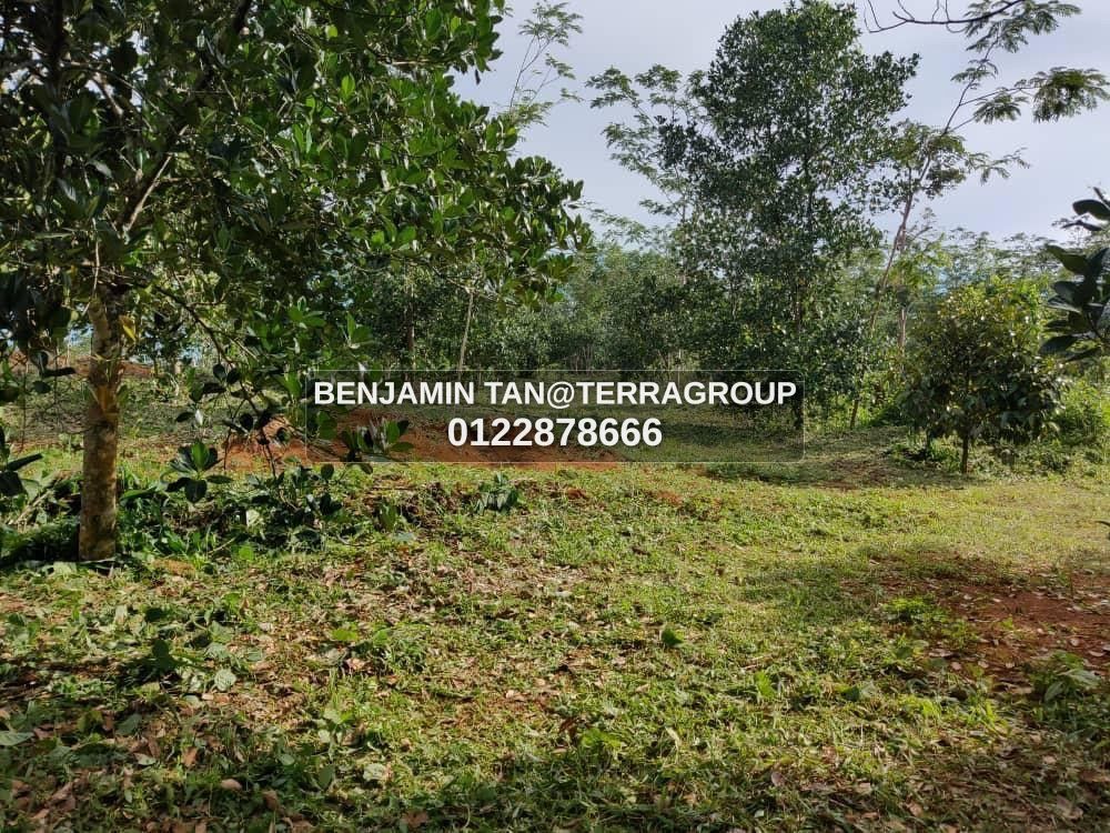 Agriculture land for rent in Balakong image 2