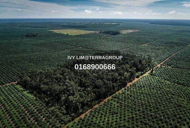JOHAN SETIA - AGRICULTURAL LAND L:2AC (SALE) image 2