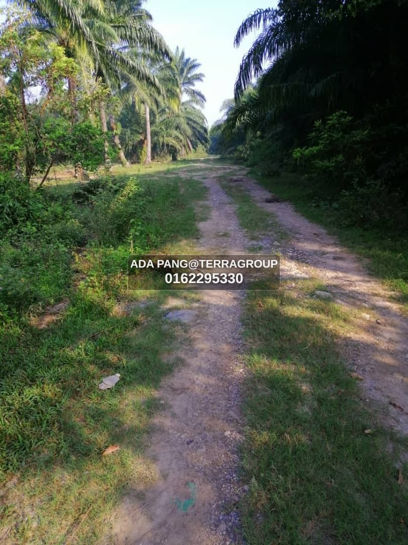 Kapar Kampung Perepat 1 acre Leasehold RM500k thumbnail 4