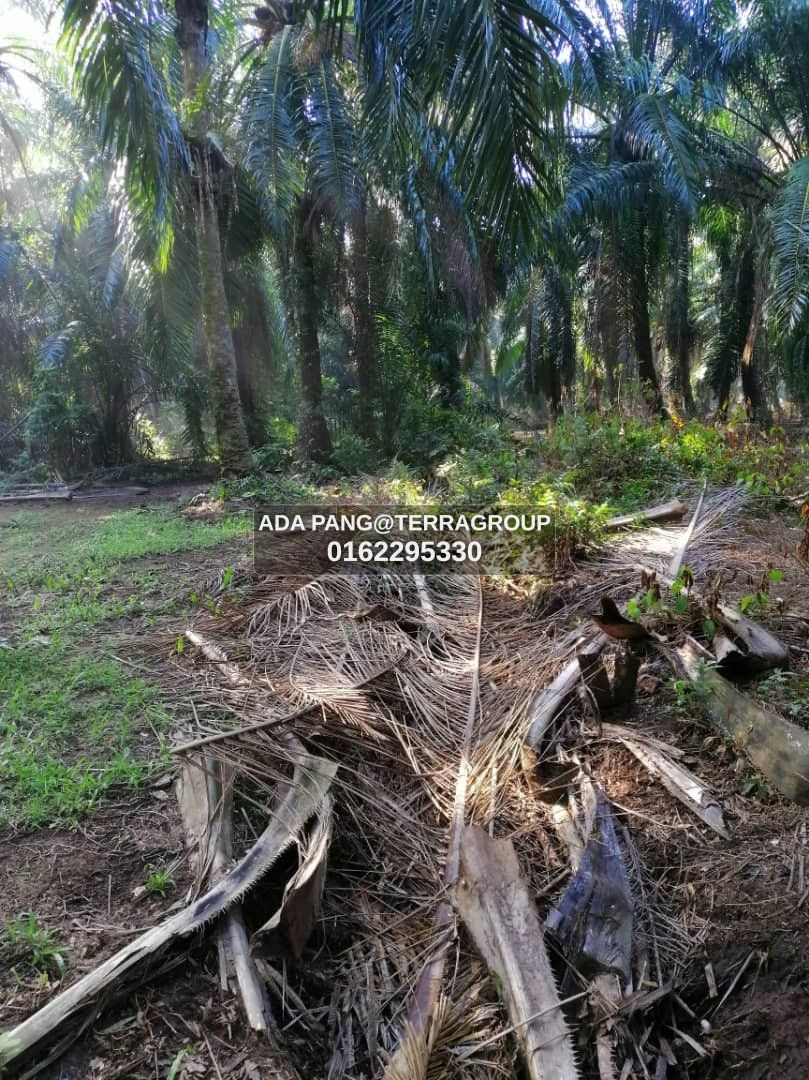 Kapar Kampung Perepat 1 acre Leasehold RM500k image 2