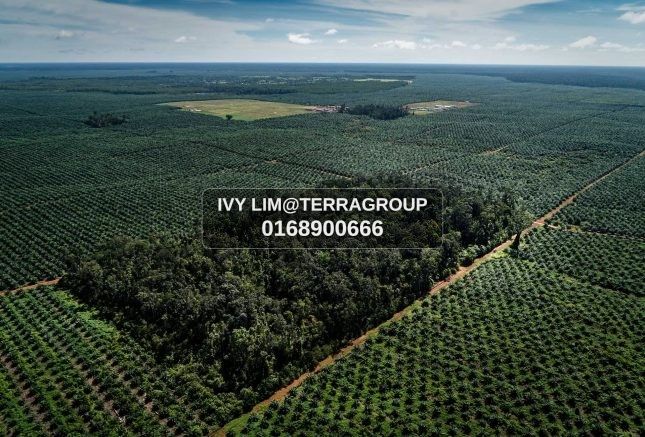 WEST PORT - INDUSTRIAL LAND L:3AC (RENT) image 3