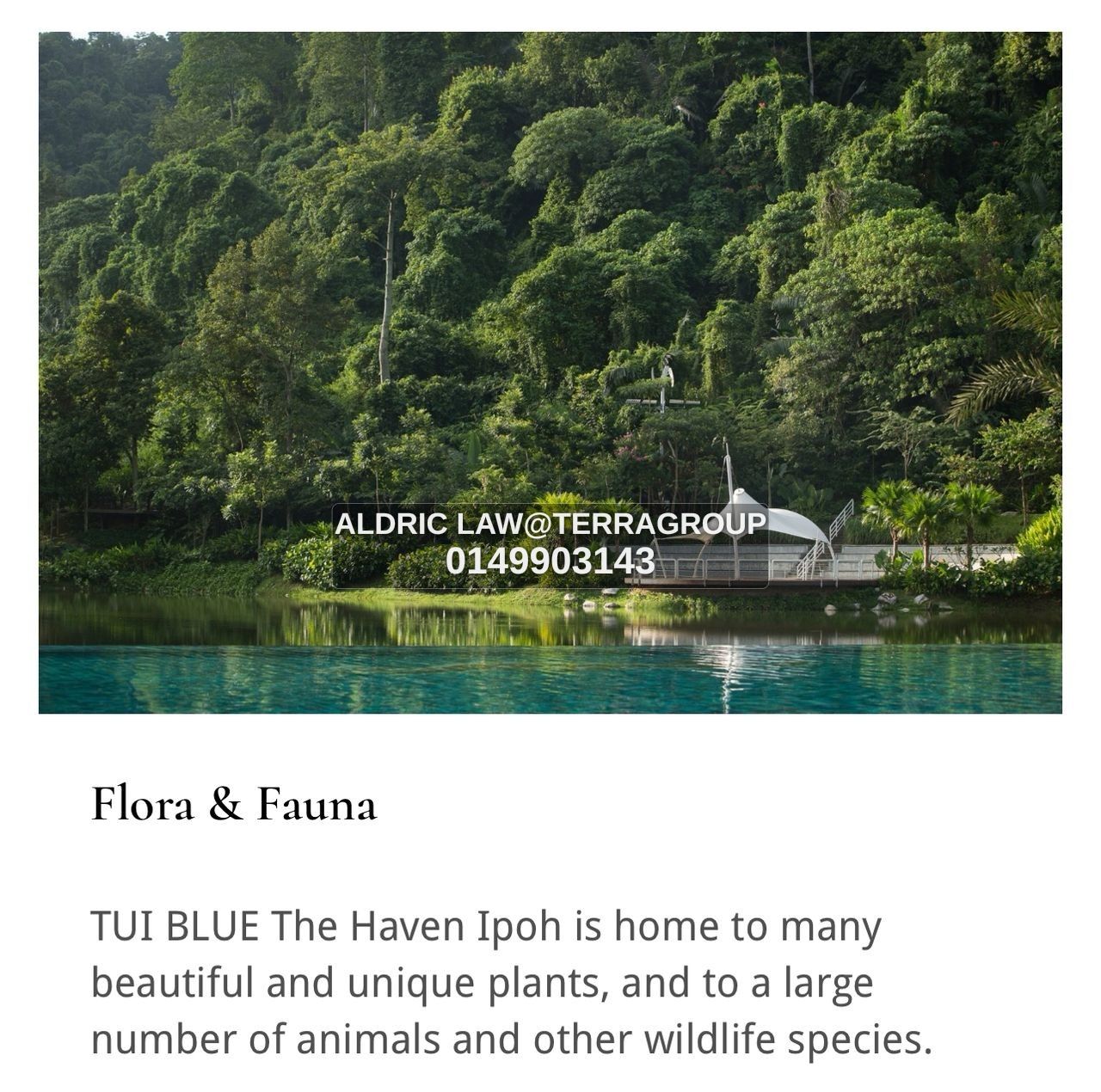 The Heaven Lakeside Residences thumbnail 4